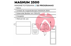 Magnetoterapia Globus Magnum 2500 de 2 Canales